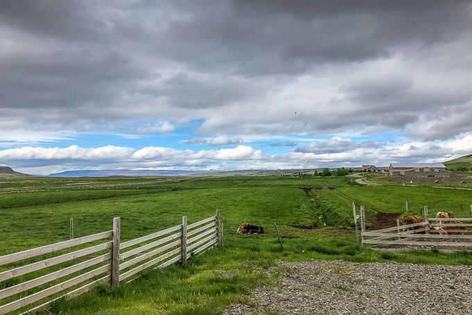 Farm visit.