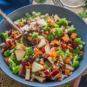 This crunchy, colorful and super delicious broccoli apple salad is a breeze to make. Make this sweet and savory salad for your fall or holiday table. It's great for picnics and potlucks too (paleo, gluten-free, vegan)