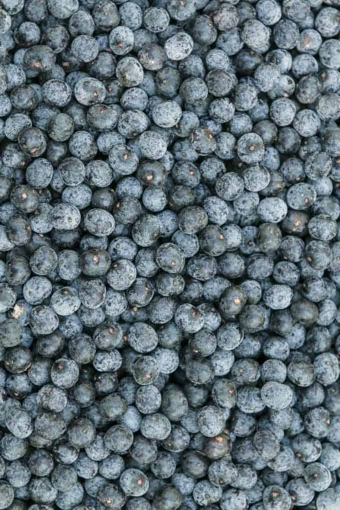 Lots of Acai Berries black in color