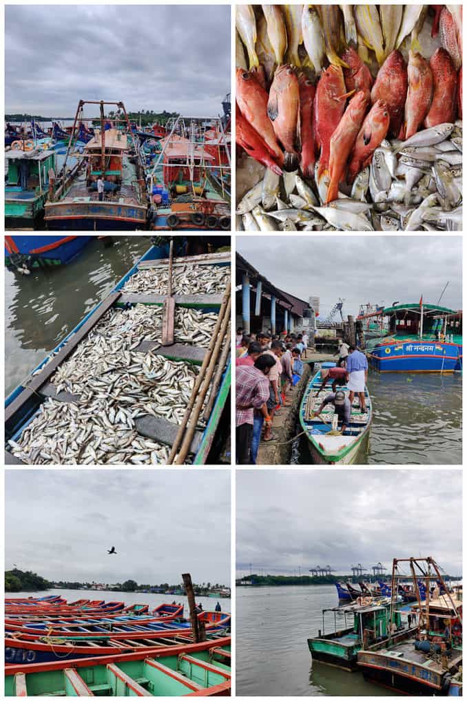 Fish market experience at Grand Hyatt Kochi
