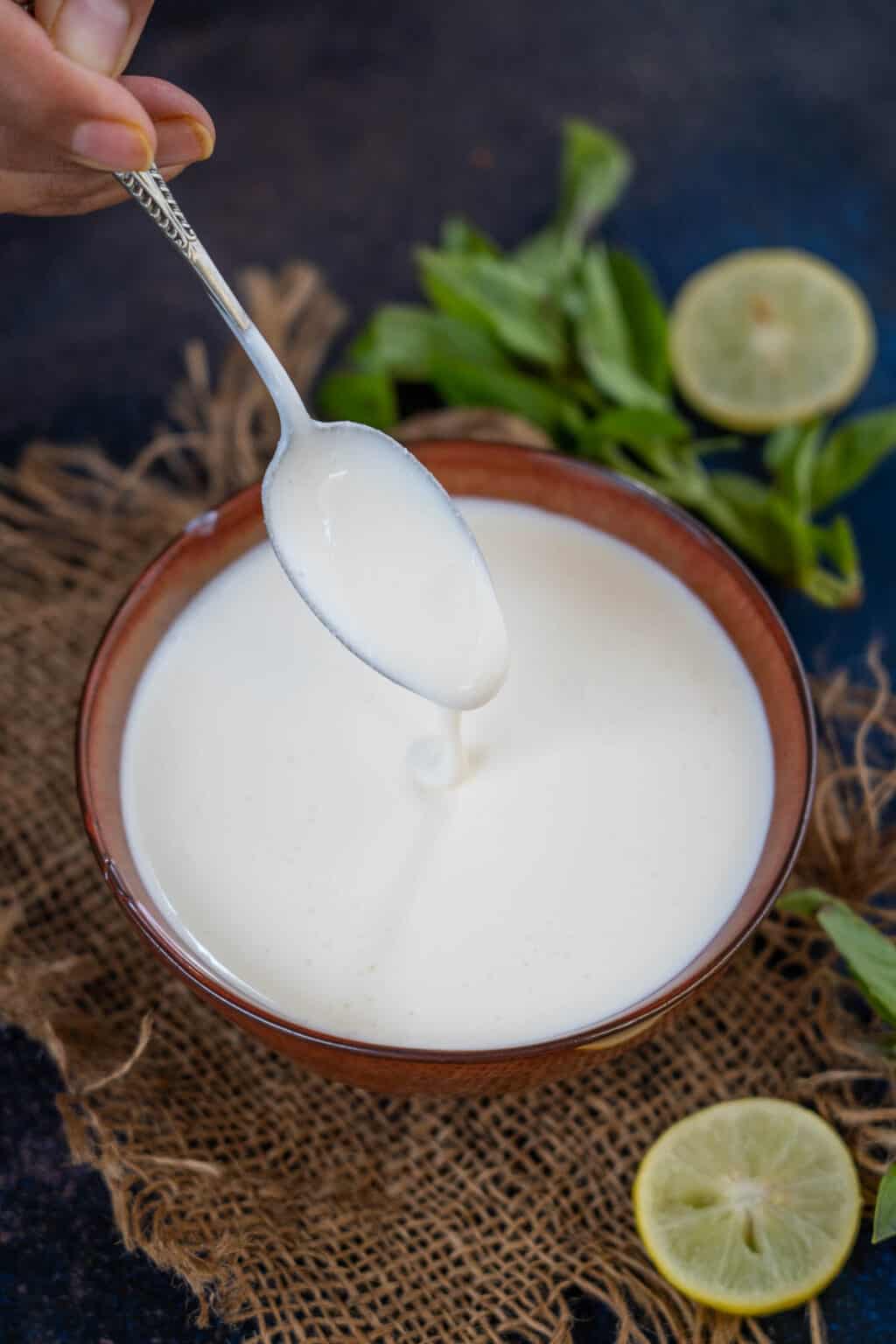 How To Make Sour Cream (2 ingredients) + Video