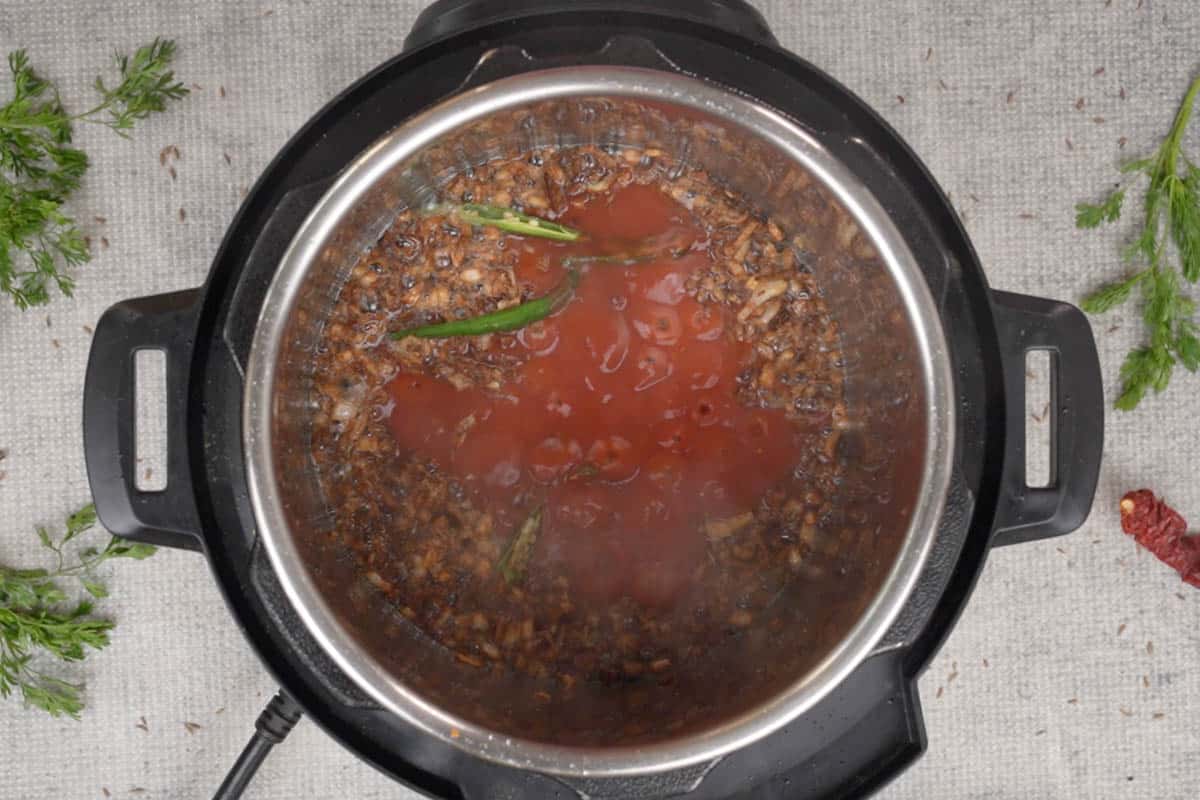 Green chilies and tomato puree added to the pot.