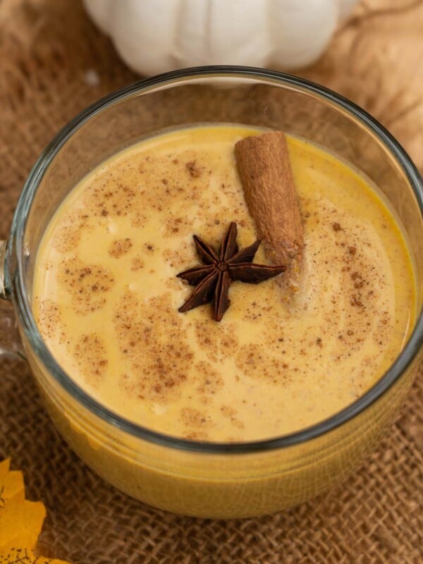 Pumpkin Spice Milk is the comforting beverage you need this fall season. Serve it hot or cold. Try my easy recipe here (vegetarian, gluten-free, can be easily made vegan).