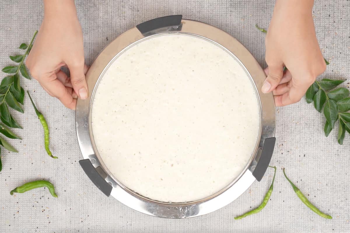 Rava Dhokla Recipe   Whiskaffair - 21