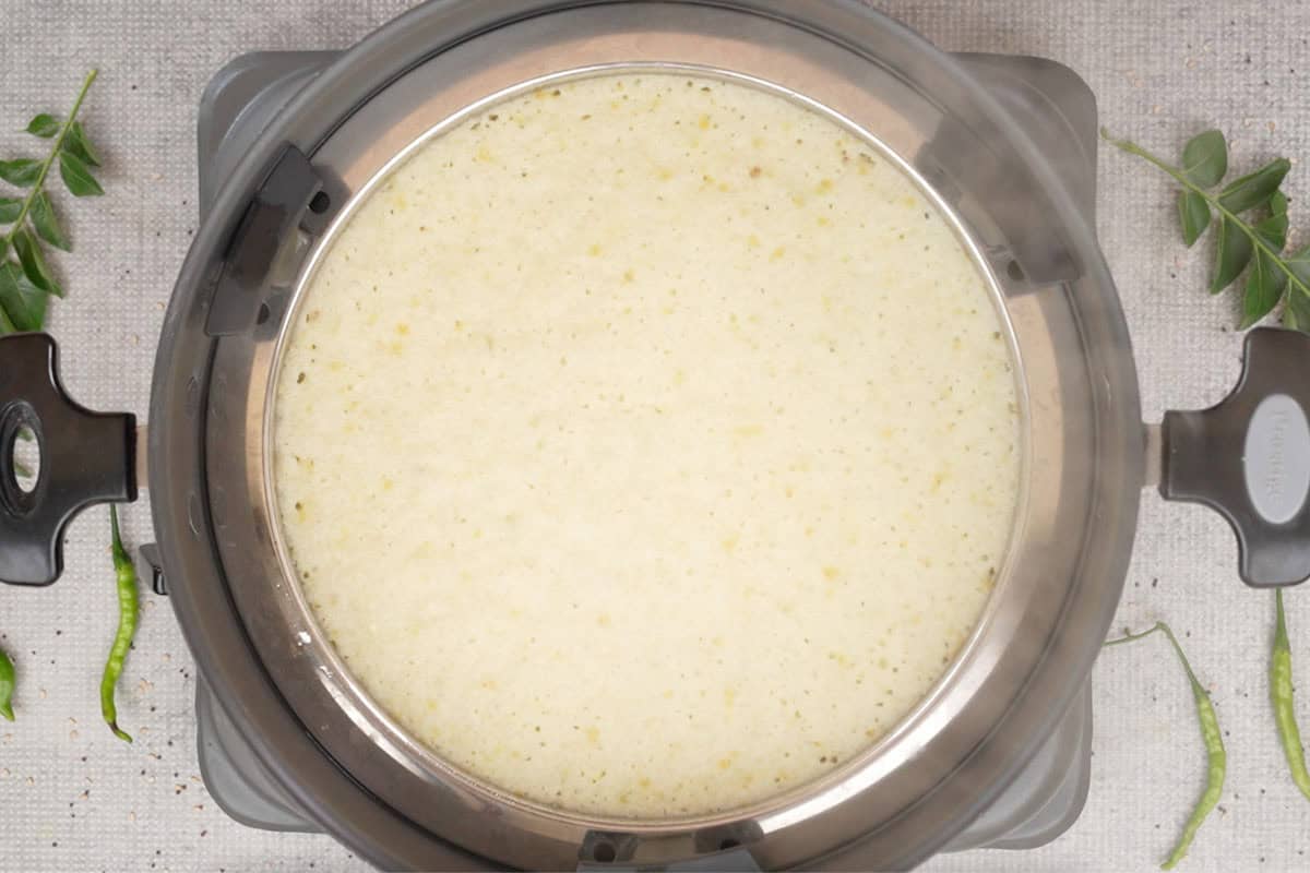 Cooked suji dhokla.