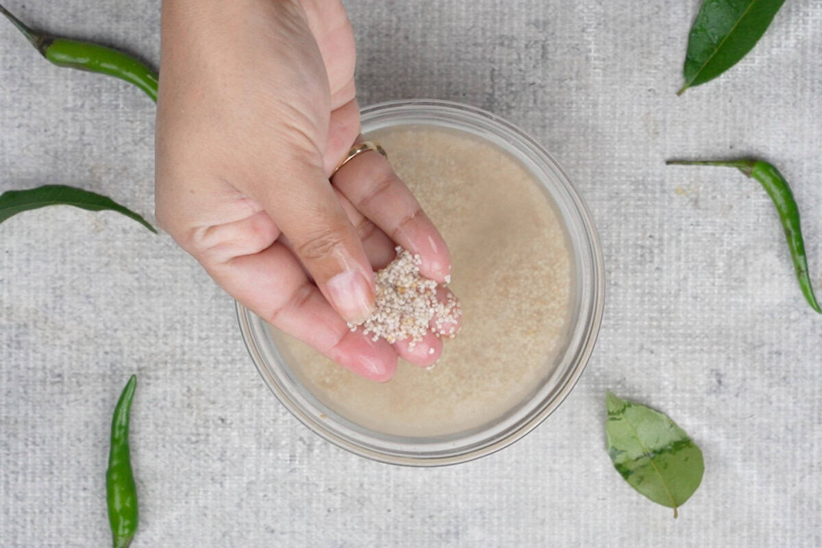 Samak rice soaked in water.